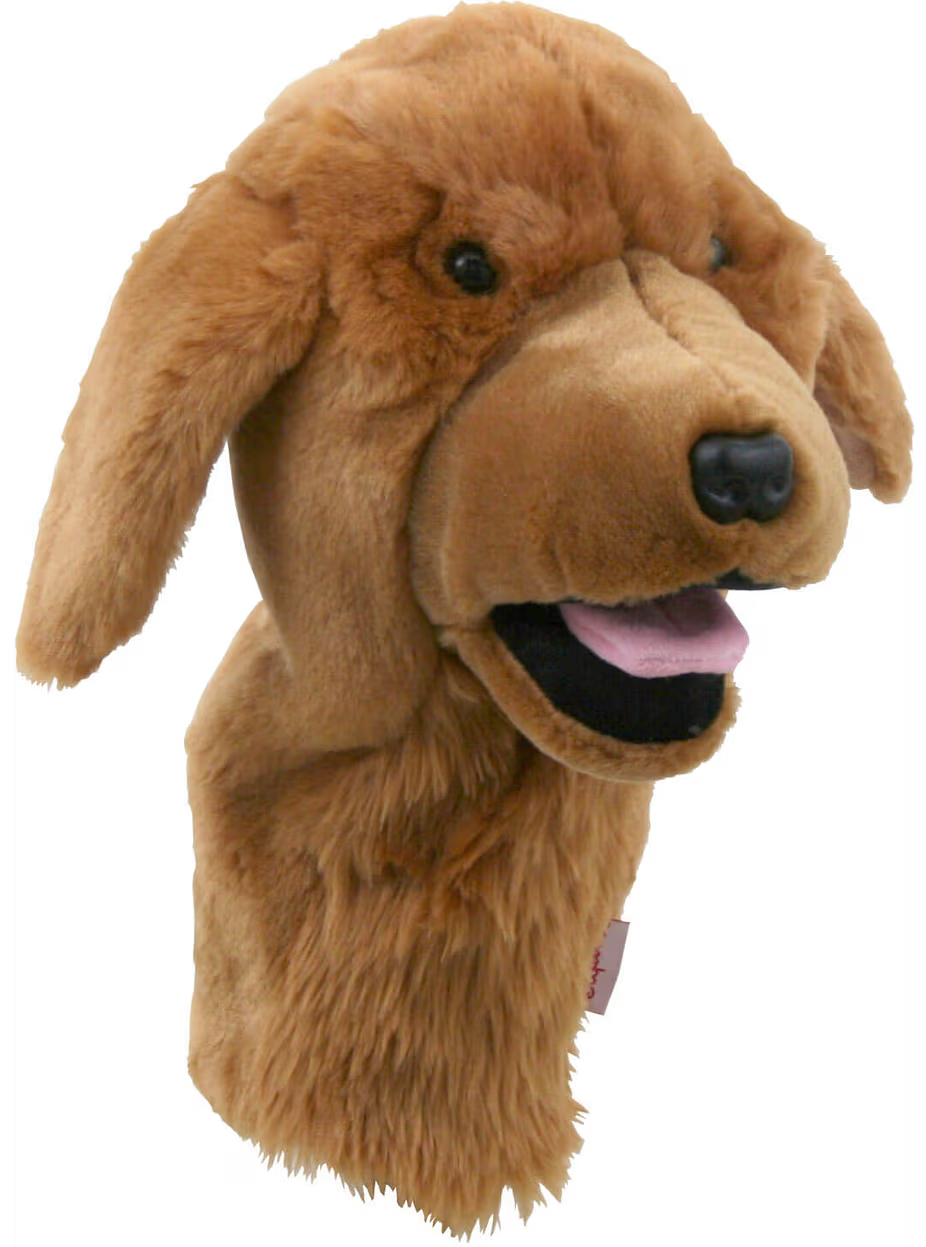 FUNDA DRIVE DAPHNE GOLDEN RETRIEVER