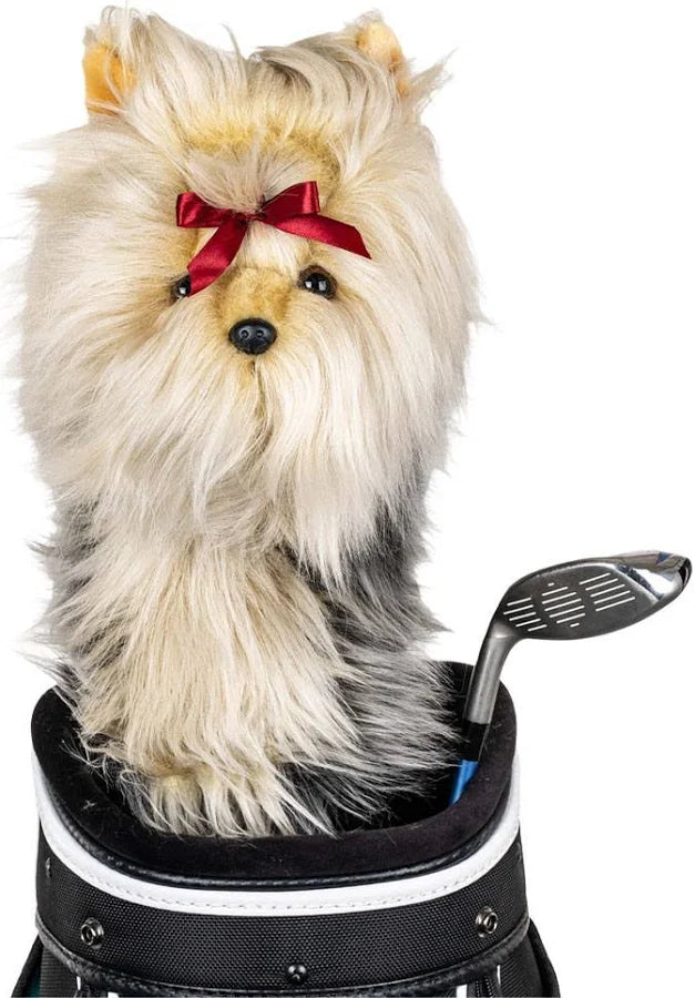 FUNDA DRIVE DAPHNE YORKSHIRE TERRIER