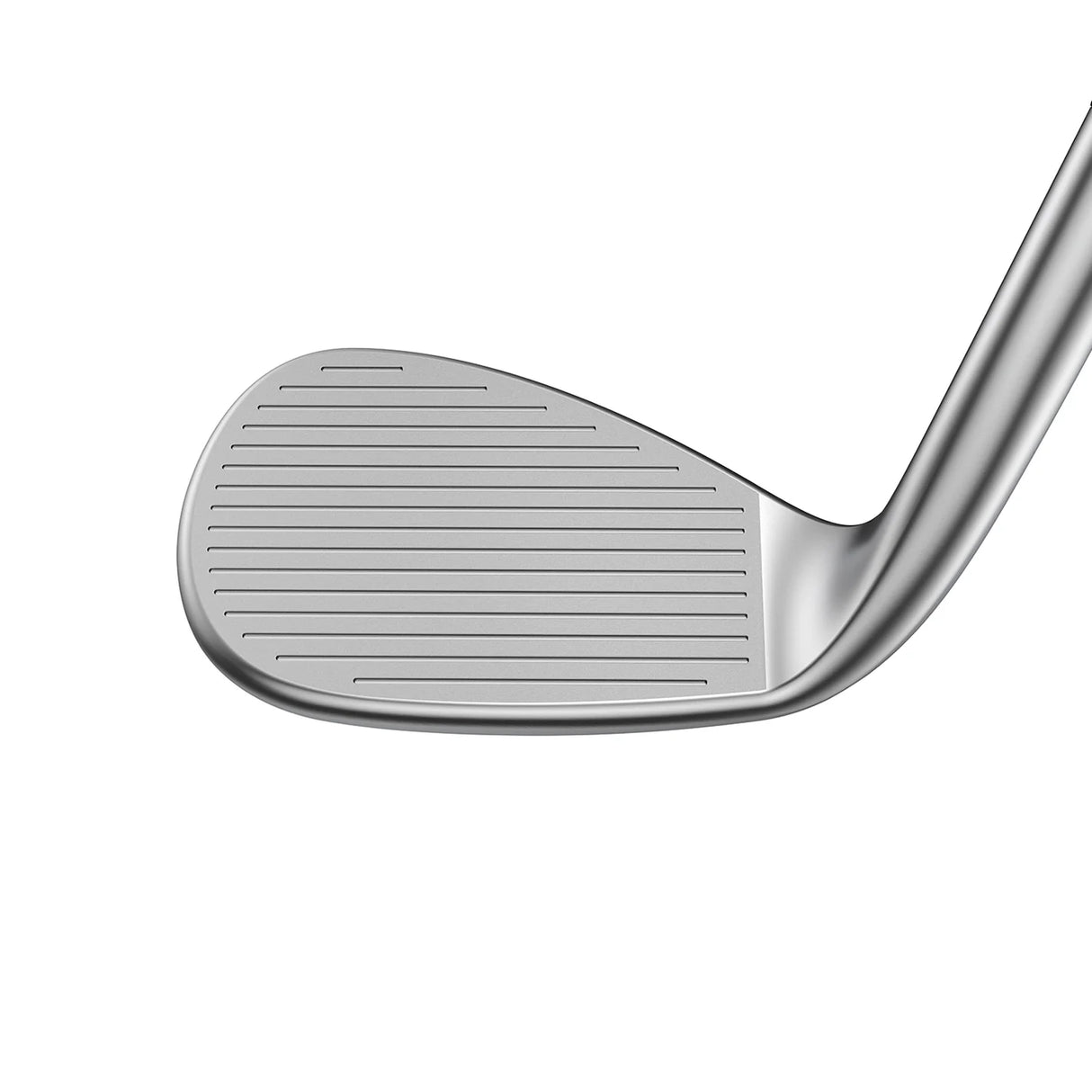 WEDGE COBRA KING COBRA SNAKEBITE